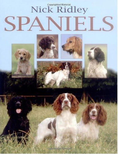 Nick Ridley: Spaniels