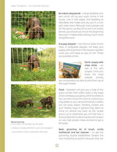 Ladda upp en bild till galleriet Janet Menzies: The Cocker Spaniel-Care and Training for Home and Sport